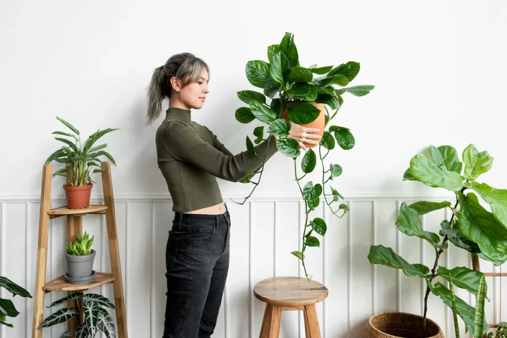 Descubre cómo elegir las mejores plantas artificiales para tu hogar o oficina, considerando tamaño, estilo y materiales.