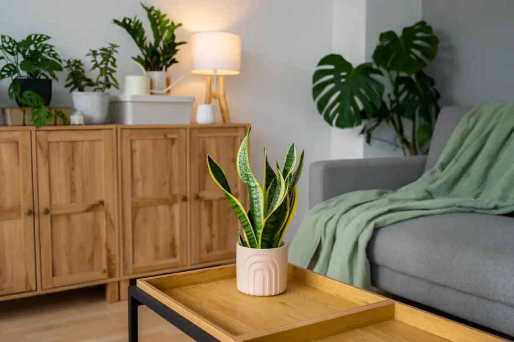 Plantas artificiales para interior en tu salón